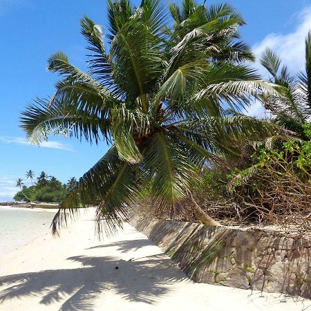 Hcs Bungalows Turtle Bay Rustic Bungalow Au Cap Екстер'єр фото