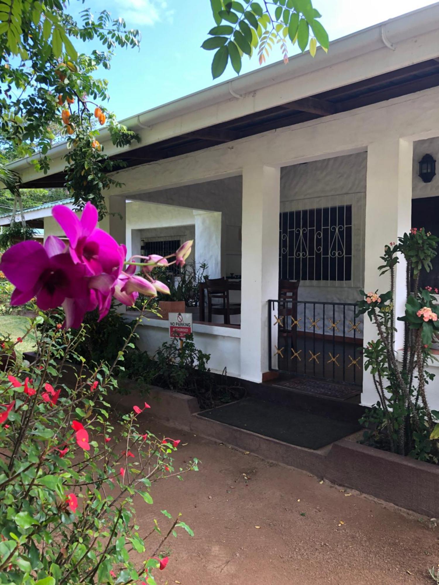 Hcs Bungalows Turtle Bay Rustic Bungalow Au Cap Екстер'єр фото