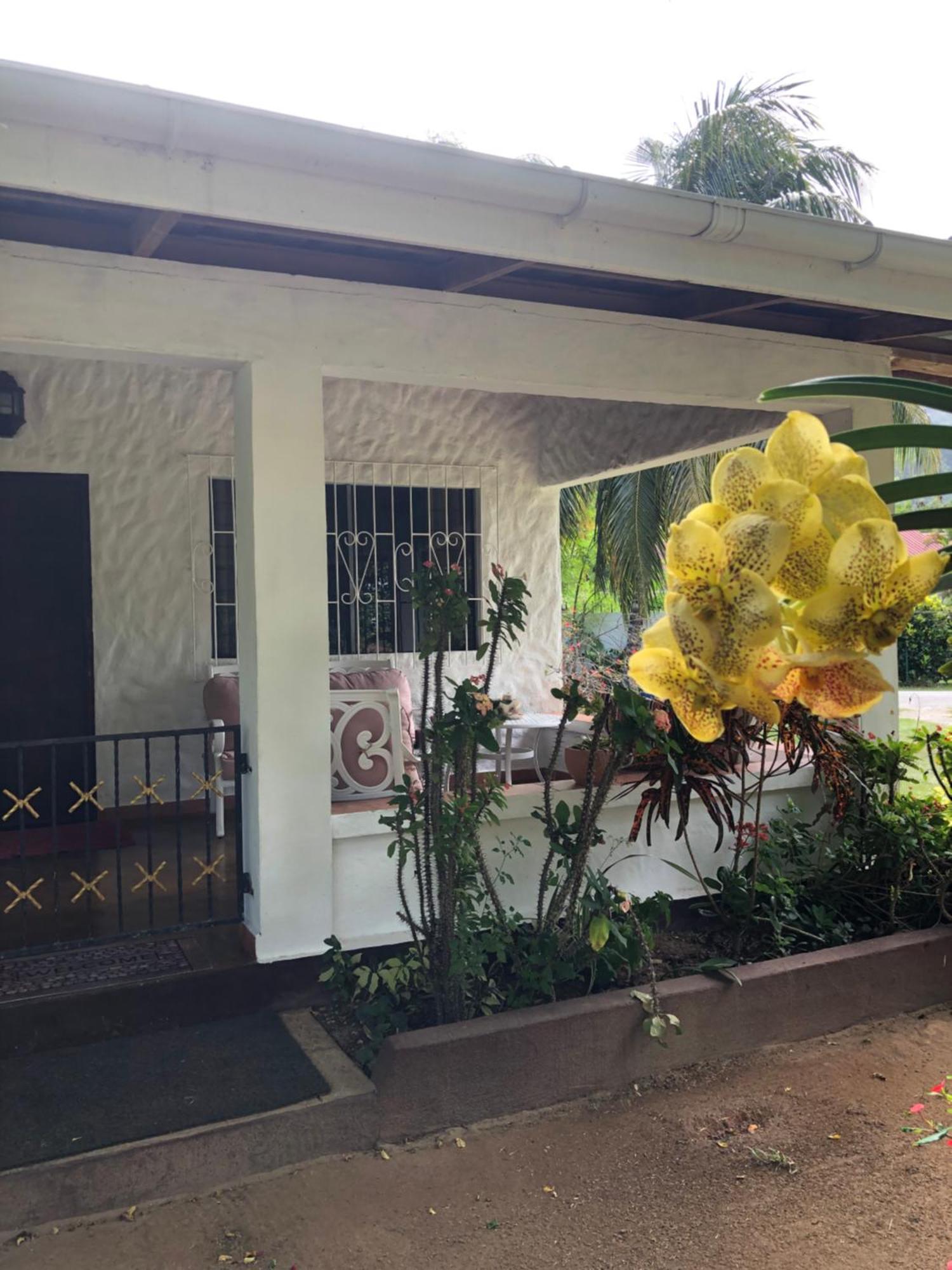 Hcs Bungalows Turtle Bay Rustic Bungalow Au Cap Екстер'єр фото