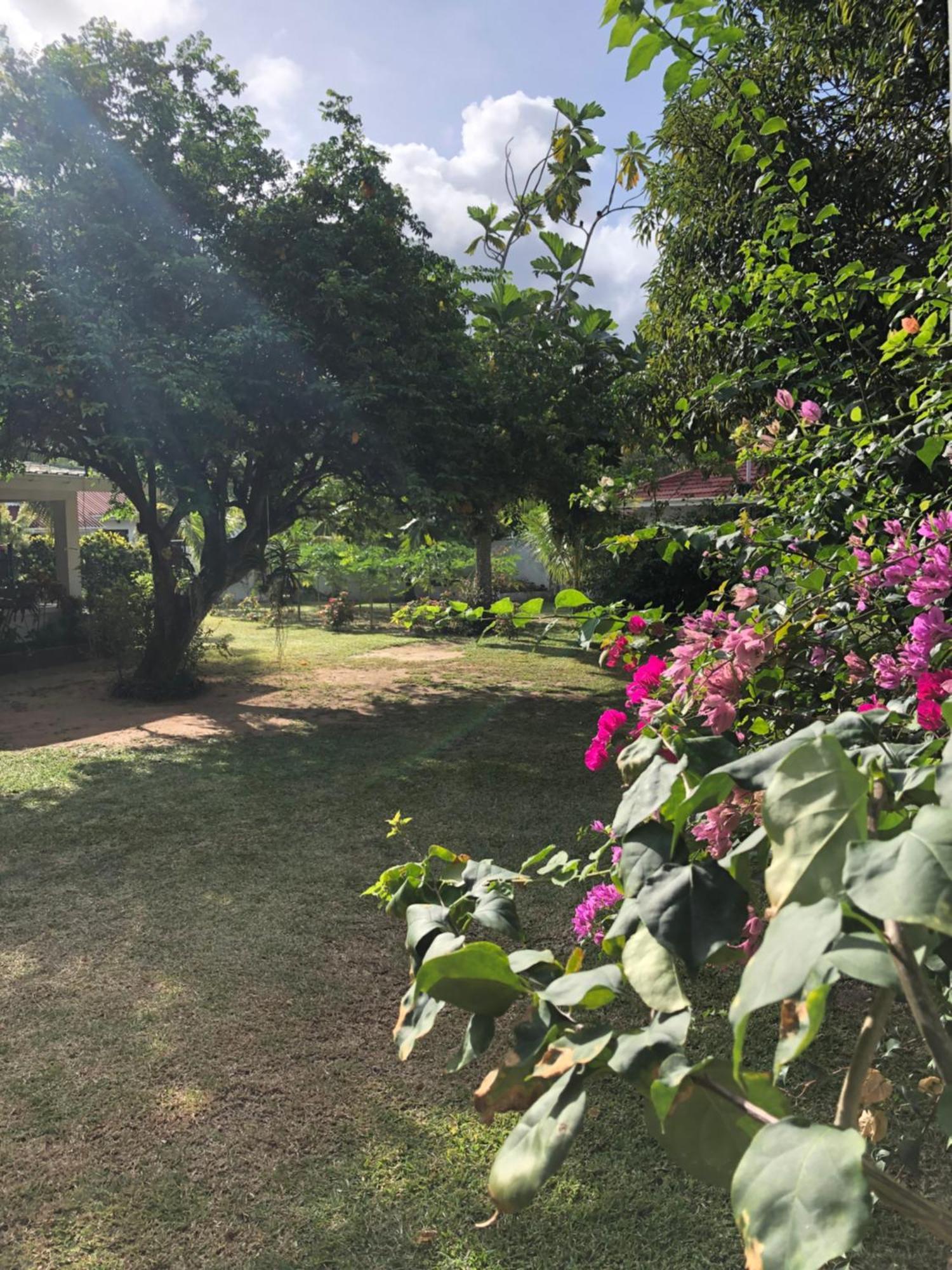 Hcs Bungalows Turtle Bay Rustic Bungalow Au Cap Екстер'єр фото