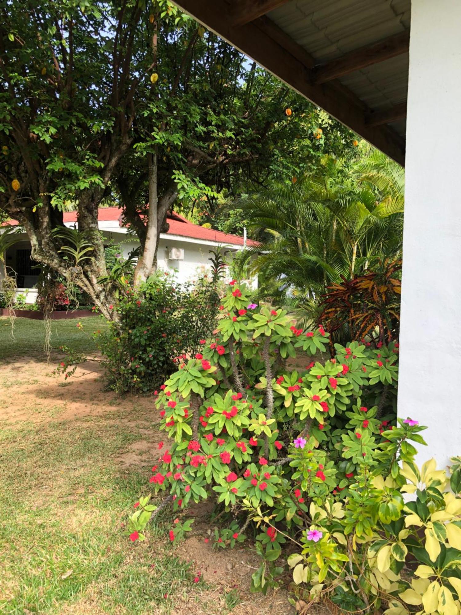 Hcs Bungalows Turtle Bay Rustic Bungalow Au Cap Екстер'єр фото