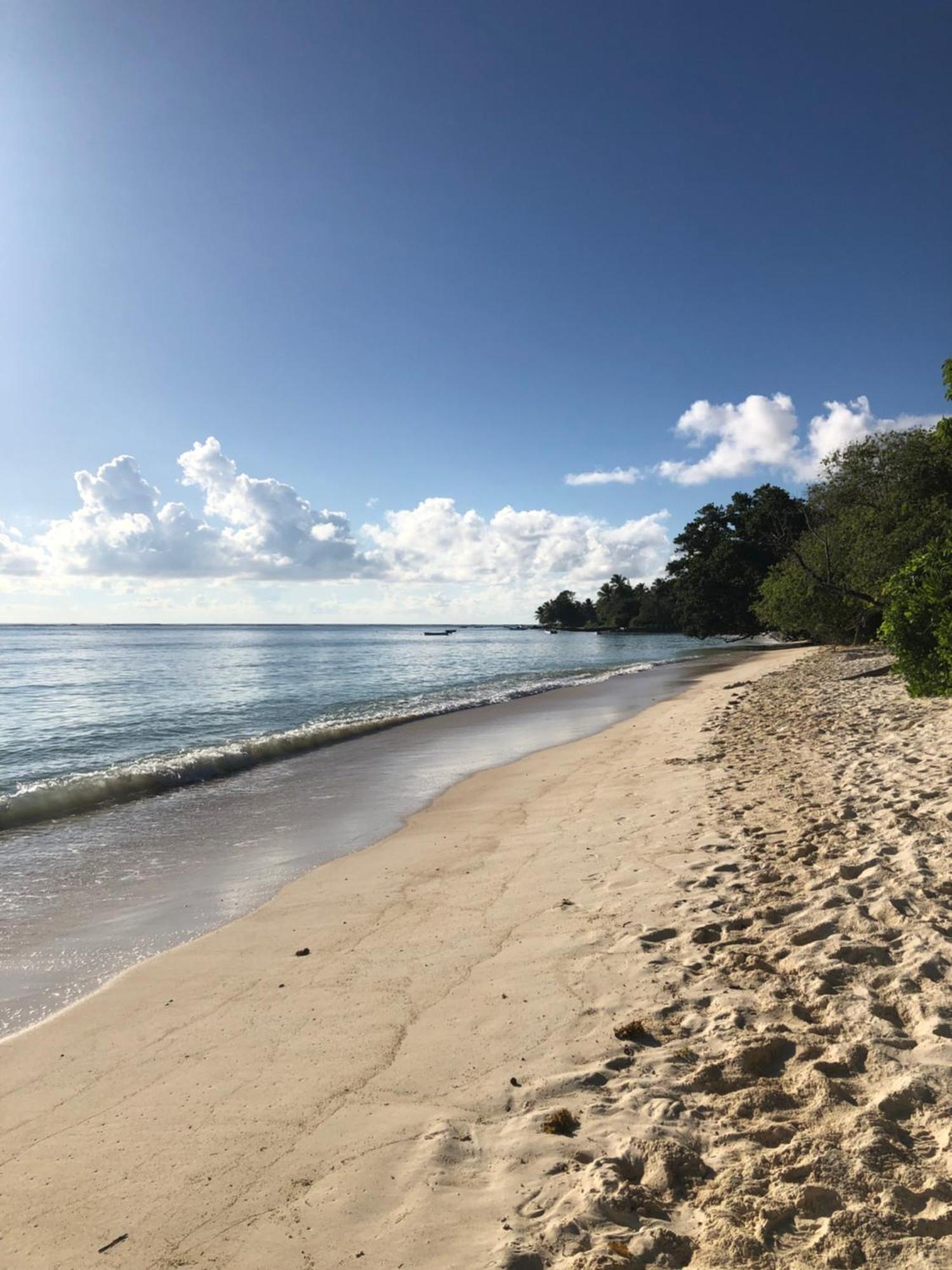 Hcs Bungalows Turtle Bay Rustic Bungalow Au Cap Екстер'єр фото