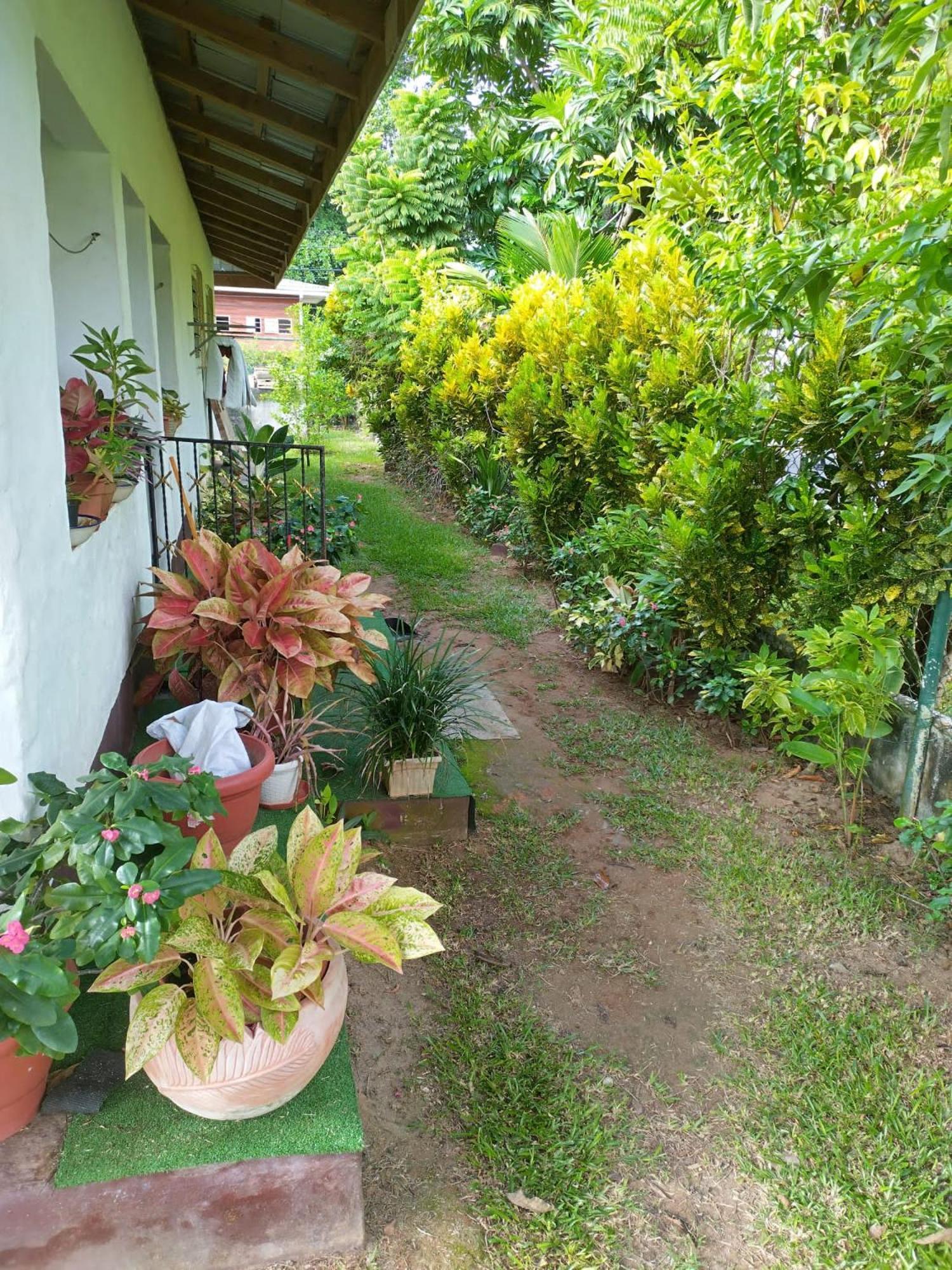 Hcs Bungalows Turtle Bay Rustic Bungalow Au Cap Екстер'єр фото