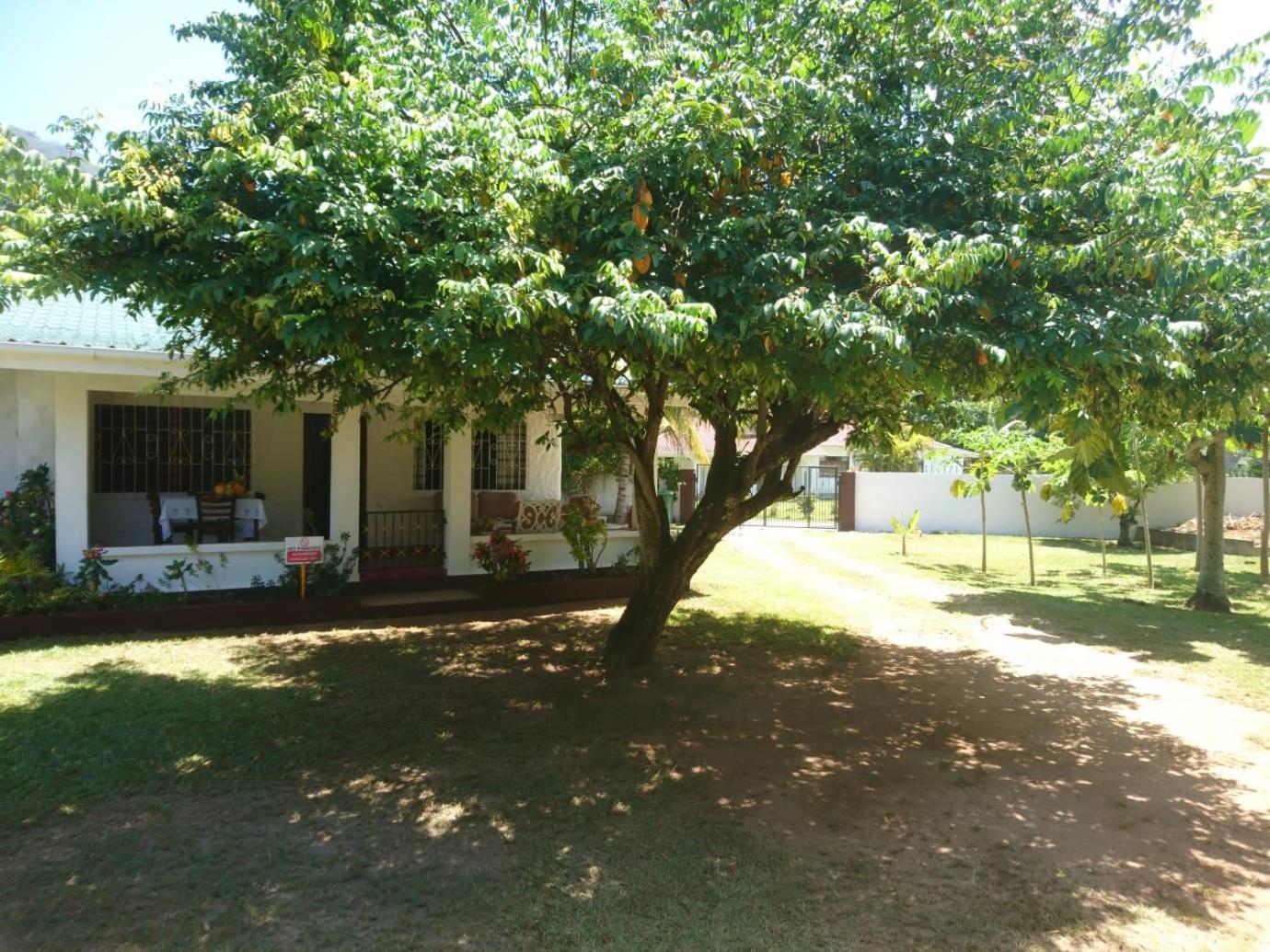 Hcs Bungalows Turtle Bay Rustic Bungalow Au Cap Екстер'єр фото