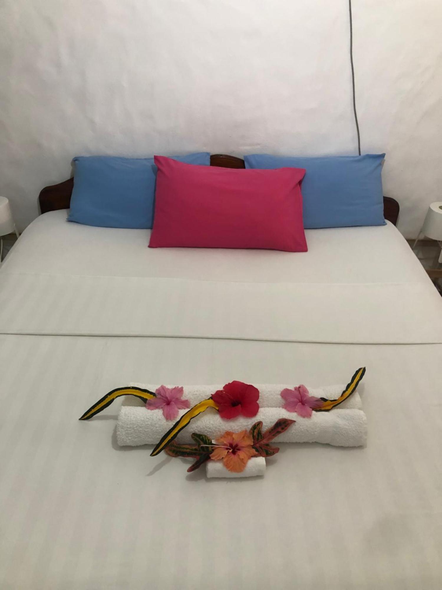 Hcs Bungalows Turtle Bay Rustic Bungalow Au Cap Екстер'єр фото